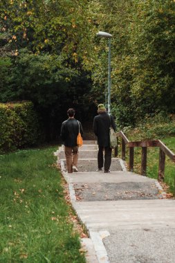 Parkta yürüyen insanların dikiz görüntüsü.