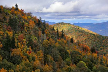 Dağların yakınındaki güzel bir ormanın havadan görünüşü.