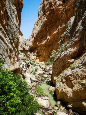 Kayalık kayalıkların ortasındaki bir nehrin dikey görüntüsü