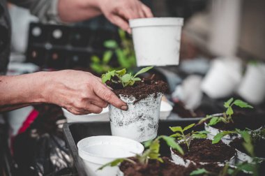 Serada çalışan birinin ellerinin yakın plan çekimi.