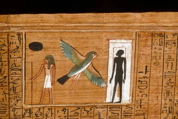 Närbild Bild Snidad Sten Grav Och Tempel Väggar Egypten — Stockfoto