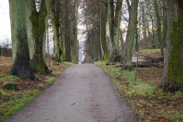 Ein Blick Die Landschaft Des Parks Herbst — Stockfoto