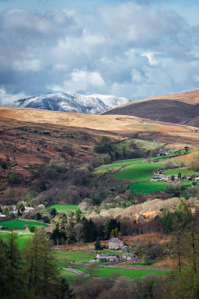 Eine Vertikale Aufnahme Der Ländlichen Landschaft Lake District Großbritannien — Stockfoto