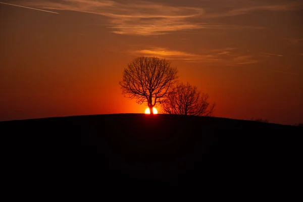 Uma Bela Paisagem Árvores Topo Uma Colina Contra Céu Por — Fotografia de Stock