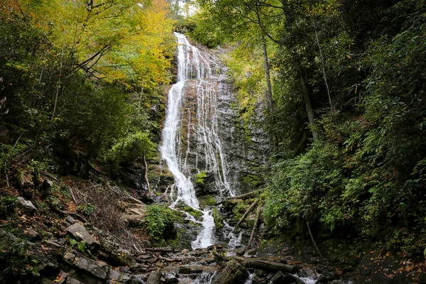 茂密的森林中瀑布的美丽风景 — 图库照片