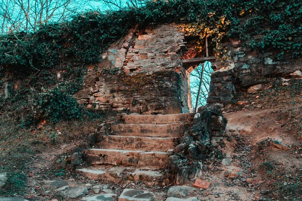 Una Vista Escaleras Rocosas Través Paredes Cubiertas Hojas Verdes — Foto de Stock