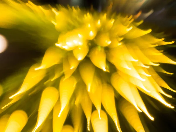 Fundo Brilhante Abstrato Cores Amarelas Embaçadas — Fotografia de Stock