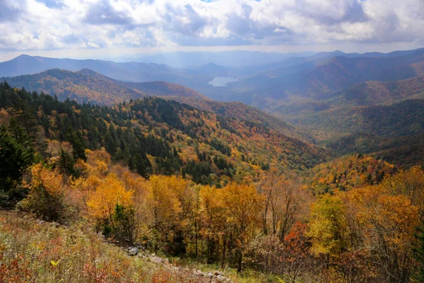 Una Vista Aerea Una Bellissima Foresta Vicino Alle Montagne — Foto Stock