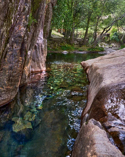 Une Rivière Paiva Affluent Forêt Nature Randonnée Santé Nature Sauvage — Photo