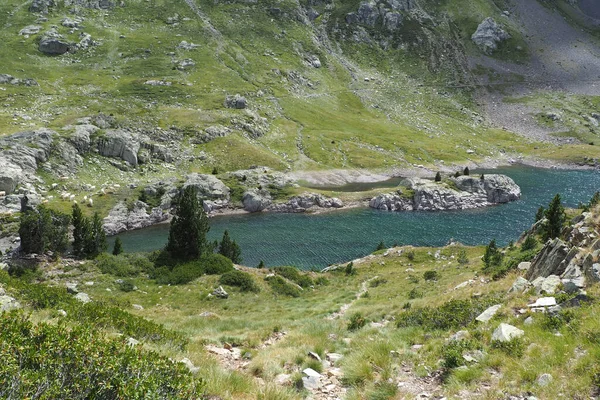 Uma Vista Panorâmica Lago Cercado Por Vegetação Contra Montanhas Rochosas — Fotografia de Stock