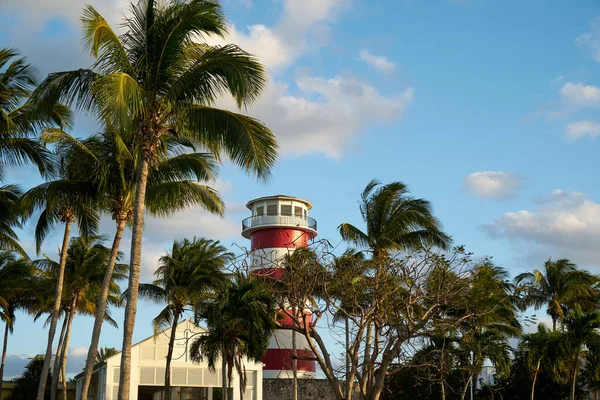 Red White Lighthouse Wide Cupola Foreground Palm Trees — Stock Photo, Image