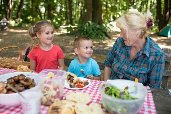 自然の中でピクニックをしている幸せな白人家族 — ストック写真