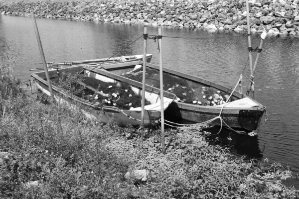 湖滨上的一艘灰色比例的小渔船 — 图库照片