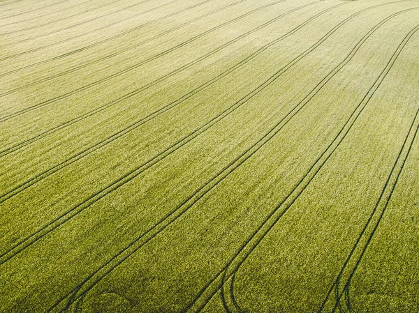 Een Luchtfoto Van Weelderige Groene Velden Saksen Duitsland — Stockfoto