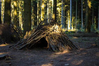 Ormanın ortasında ağaçların arasında bir ağaç dalından yapılmış bir kulübe.