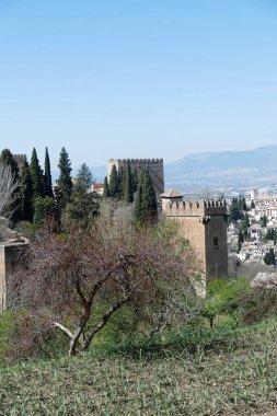 Granada, İspanya 'daki Alhambra kompleksinin dikey bir görüntüsü.