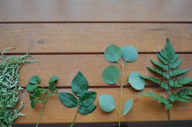 Ahşap arka planda çeşitli yeşil yaprakları olan düz bir yer.