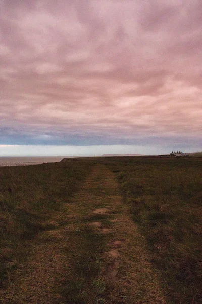 黄昏时分 黄昏时分田野里一条小径的垂直截图 带有戏剧性的粉红云彩 — 图库照片