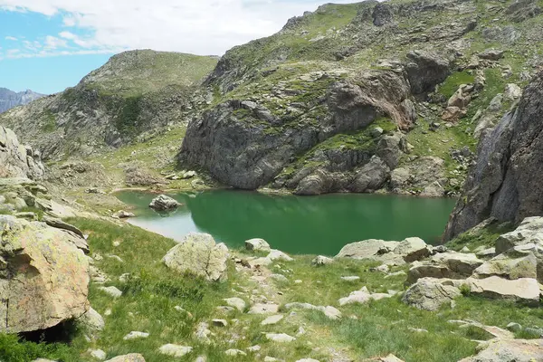 Malebný Pohled Jezero Obklopené Zelení Proti Skalnatým Pyrenejským Horám — Stock fotografie