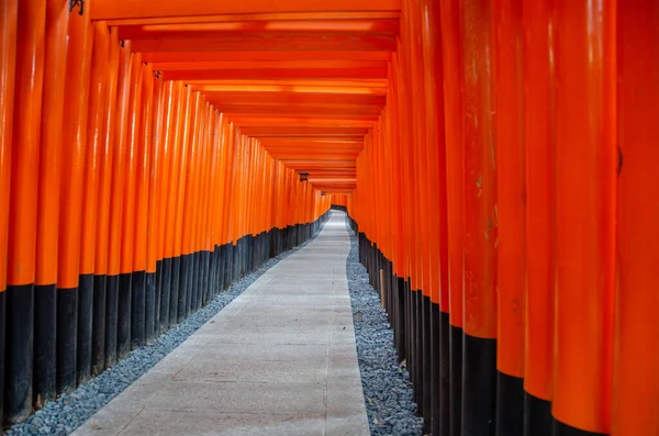Les Portes Rouges Noires Torii Sanctuaire Fushimi Inari Kyoto Japon — Photo