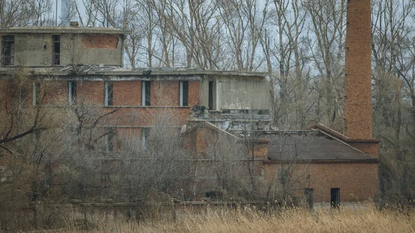 Antiguo Edificio Abandonado Bosque Otoño Durante Día — Foto de Stock