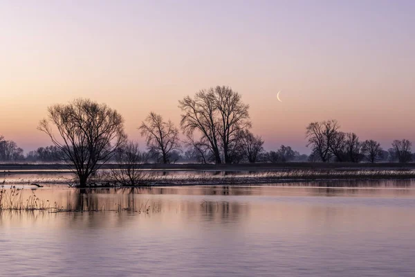 Natural Landscape Small Lake Countryside Silhouettes Trees Purple Sunset — Stock Photo, Image