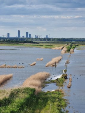 Kopenhag 'da Kalvebod Failed - Amager Vest - doğa.