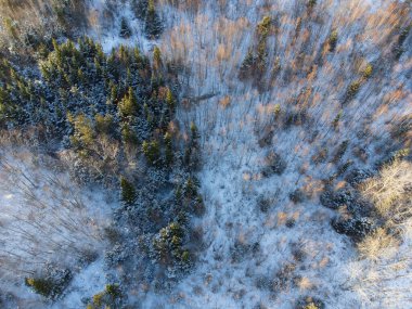 Kışın karlı bir ormanın havadan görünüşü.