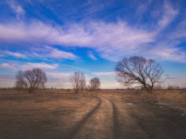 Moskova 'nın Voskresensky bölgesinde Moskvoretsky sel yatağı rezervi