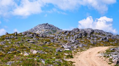 Portekiz 'deki Arouca Dağı' nda güzel yeşil bir patika.