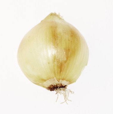 Beyaz arkaplanda izole edilmiş bir soğan.