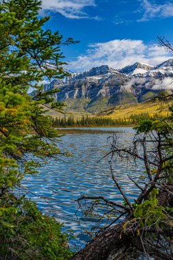 Ağaçlar ve dağlarla çevrili güzel bir göl manzarası.