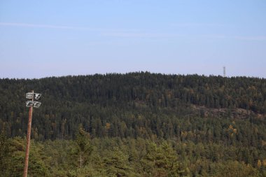 Mavi gökyüzüne karşı bir orman tepesi görüntüsü