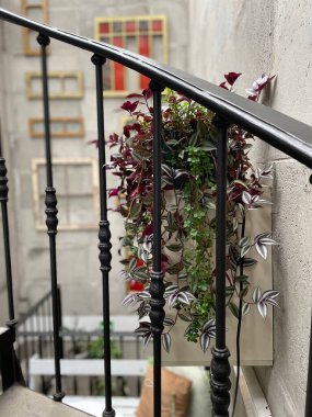 Merdiven korkuluklarının dikey görüntüsü. Arkasında iç mekan bitkileri var.