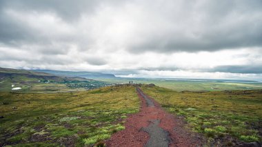 İzlanda 'nın yemyeşil tarlasında dar bir yol. Karanlık bulutlu arka planda.