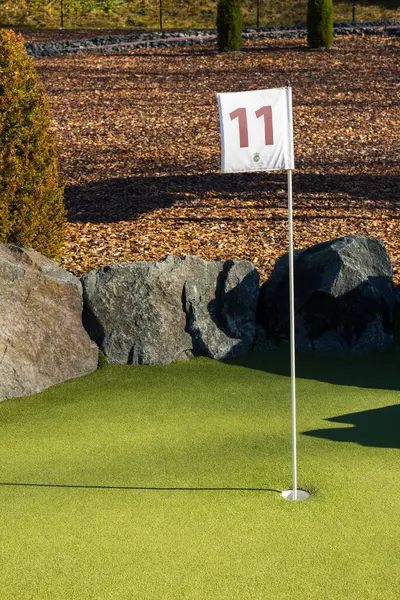 Vertikal Bild Grön Golfbana Med Flagga Bredvid Målet Hålet Med — Stockfoto
