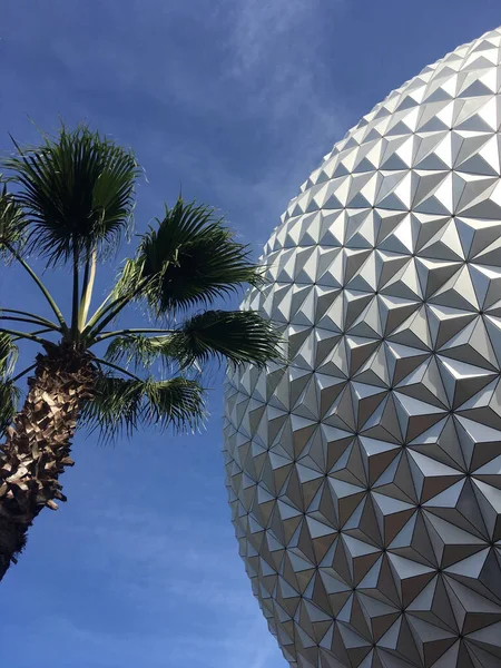 Palm Tree Geosphere Disney Epcot Houses Spaceship Earth White — Stock Photo, Image