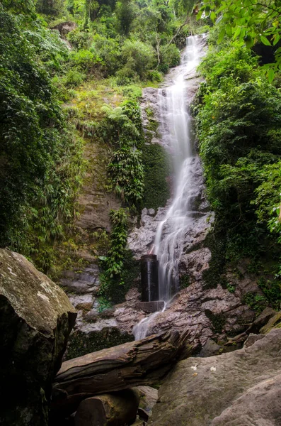 Eine Vertikale Aufnahme Von Wasserfall Tap Tap Mit Grünen Pflanzen — Stockfoto