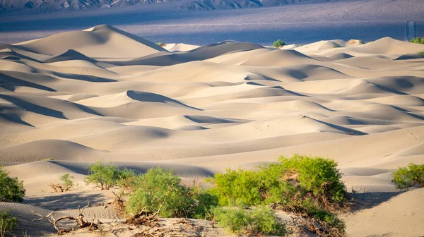 Les Dunes Sable Dans Vallée Mort Californie Orientale Désert Mojave — Photo