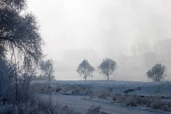 Jilin Kışın Güzel Bir Manzarası — Stok fotoğraf