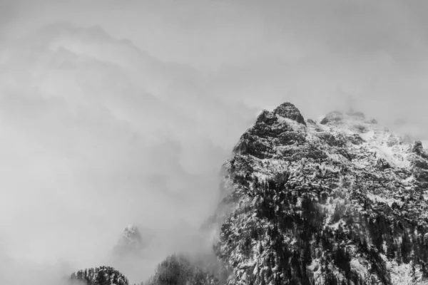 霧深い日に巨大な山を背景に雪に覆われた木々の景色 — ストック写真