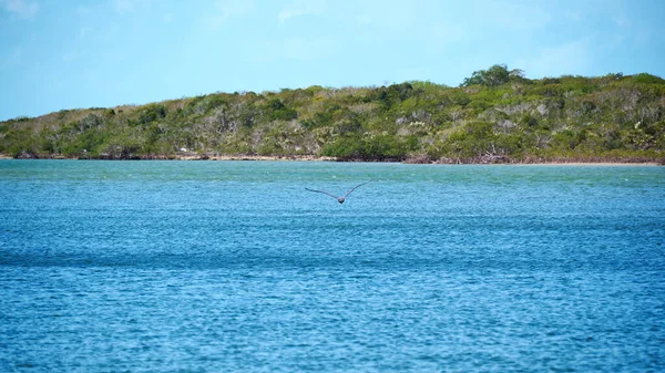 Het Prachtige Beeld Van Een Turquoise Zee Landschap Met Een — Stockfoto