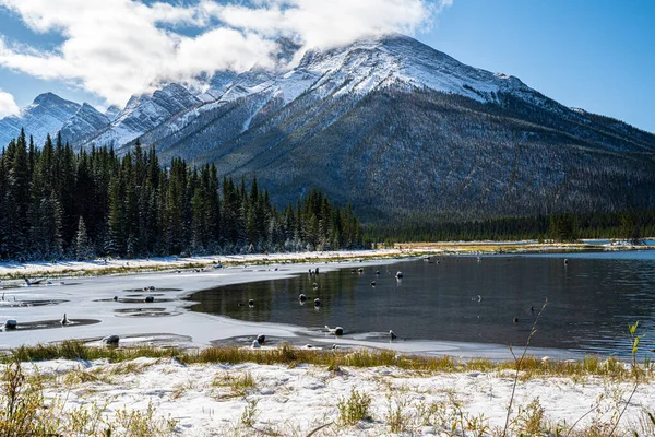 Прекрасный Зимний Пейзаж Озером Горами Канадская Природа Банф — стоковое фото