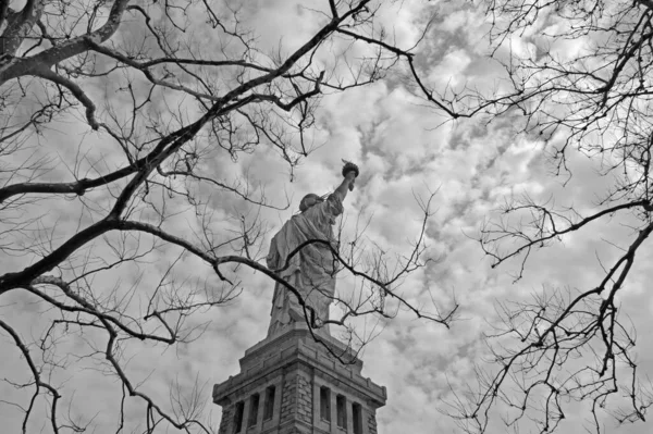 Low Angle Statue Liberty Bare Branches Tree New York Grayscale — Stock Photo, Image