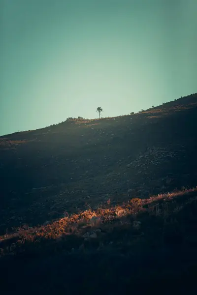 Hermoso Tiro Montañas — Foto de Stock