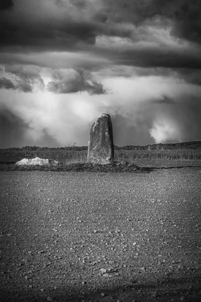 スウェーデンの田舎で一つの立石の灰色のショット — ストック写真