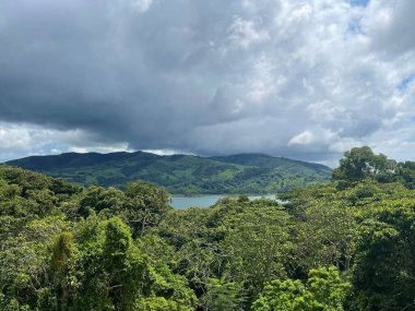 Bir gölü çevreleyen güzel bir ağaç ve dağ görüntüsü.