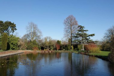 RHS Garden 'daki gölet Hyde Hall, Chelmsford, Essex, Birleşik Krallık