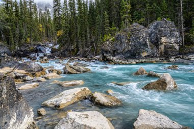 Ormandaki kayaların üzerinden akan güzel bir su manzarası.