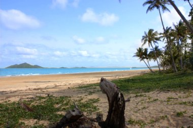 güneşli bir günde bir tropikal plaj